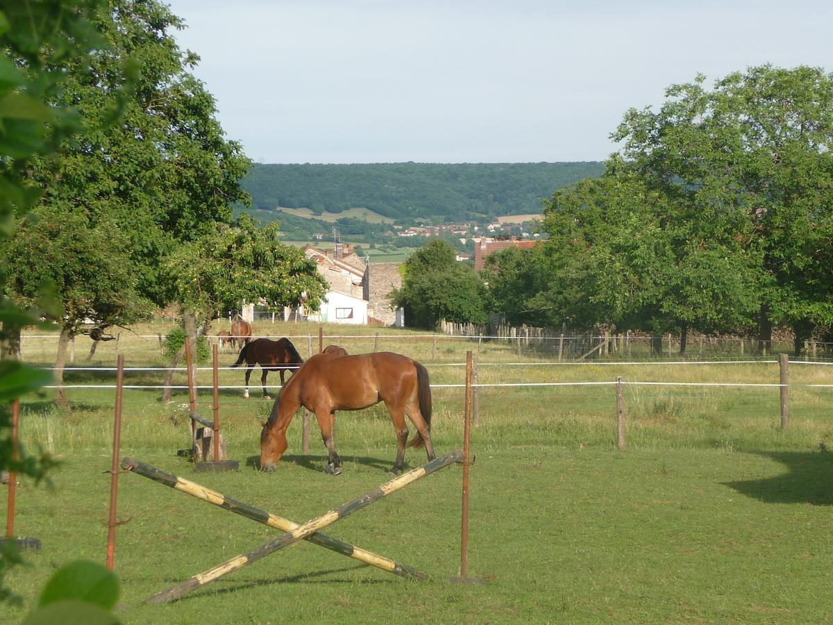 Le Chateau Bed & Breakfast Champagny-sous-Uxelles Bagian luar foto