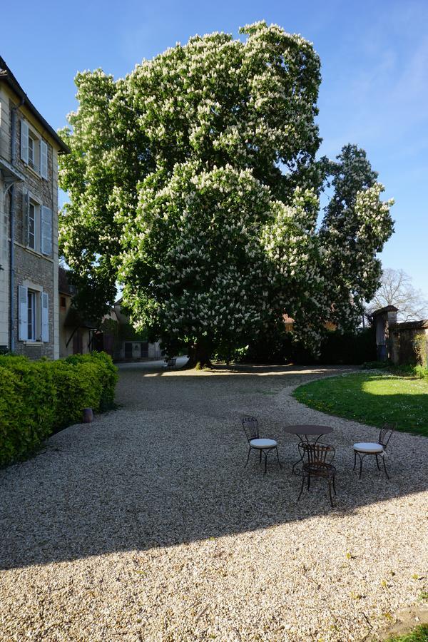 Le Chateau Bed & Breakfast Champagny-sous-Uxelles Bagian luar foto